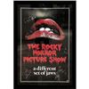 Image 1 : The Rocky Horror Picture Show Cast-Signed Framed Autographed Poster (5 Autographs) w/ Meat Loaf...