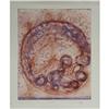 Image 2 : LITHOGRAPH DALE CHIHULY ''PERSIANS''