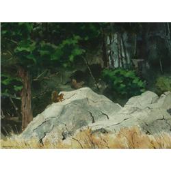WATERCOLOR PERRY ACKER NORTHWEST SQUIRRELS
