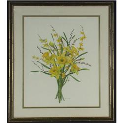 WATERCOLOR MECKLEY BOTANICAL DRAWING DAFFODILS