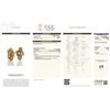 Image 2 : 18kt Yellow Gold 0.92 ctw Diamond Earrings