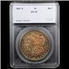 Image 4 : ***Auction Highlight*** 1897-s Colorfully Toned Morgan Dollar $1 Graded ms64 pl By SEGS (fc)