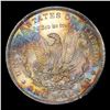 Image 3 : ***Auction Highlight*** 1884-o Rainbow Toned Morgan Dollar $1 Graded ms65+ By SEGS (fc)