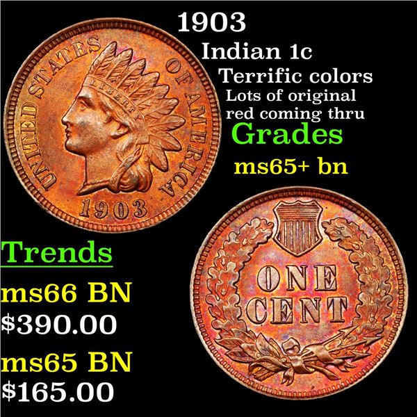 1903 Indian Cent 1c Grades GEM+ Unc BN