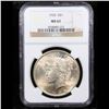 Image 2 : NGC 1925-p Peace Dollar $1 Graded ms62 By NGC