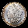 Image 2 : ***Auction Highlight*** 1878-p 8tf vam 17  Morgan Dollar $1 Graded ms65 By SEGS (fc)