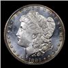 Image 2 : ***Auction Highlight*** 1883-cc vam 5 I3 R3 Morgan Dollar $1 Graded ms64+ DMPL By SEGS (fc)