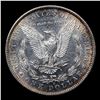 Image 3 : 1891-s Morgan Dollar $1 Grades Select Unc