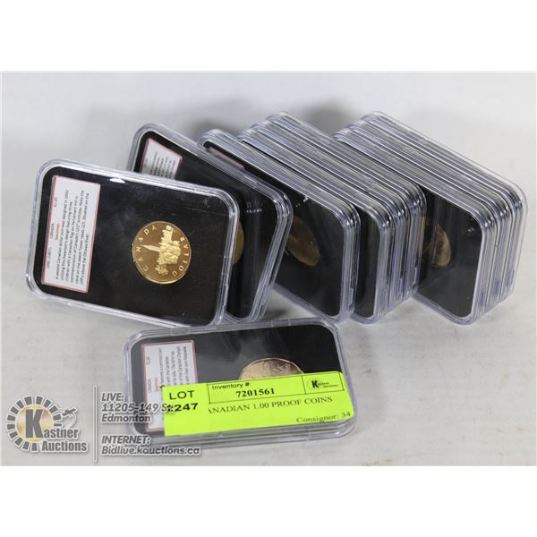 10 X CANADIAN 1.00 PROOF COINS