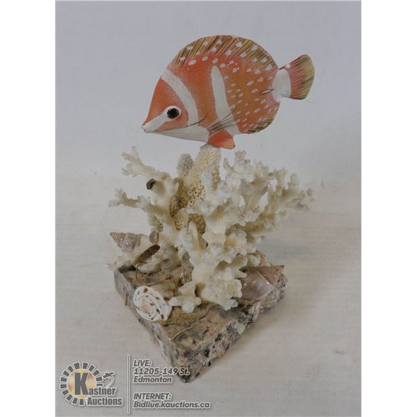 ANGEL FISH ON CORAL REEF DISPLAY