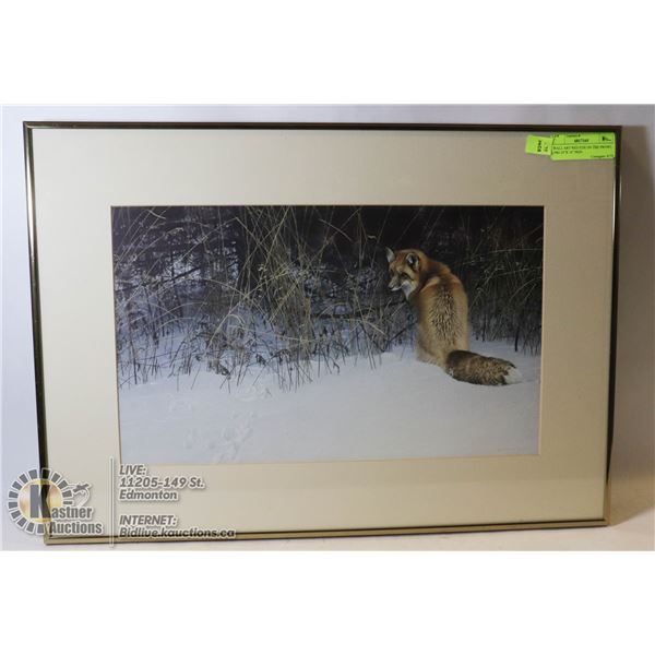 WALL ART RED FOX ON THE PROWL 1984 23"X 16" PRINT
