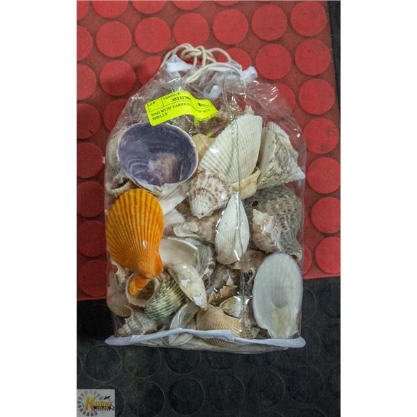 BAG WITH VARIOUS TYPES OF SEA SHELLS