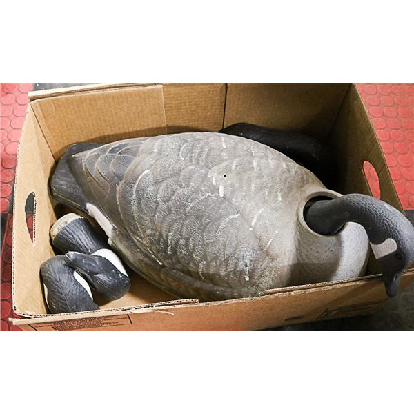 LOT OF 4 GOOSE DECOYS APPROX 26" LONG