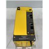 Image 1 : Fanuc Module * No Tag*