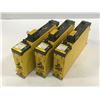 Image 2 : (3) Fanuc A06B-6124-H102 aiSV 10HV Drive Module