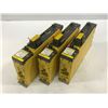 Image 2 : (3) Fanuc A06B-6124-H102 aiSV 10HV Drive Module