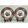 Image 1 : A PAIR OF COPELAND SPODE PLATES