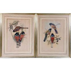 TWO FRAMED HAND-COLORED JOHN GOULD LITHOGRAPHS