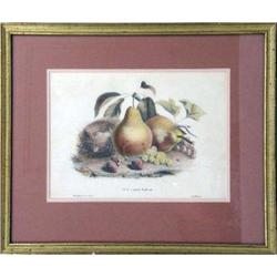 A FRAMED POLYCHROME PRINT