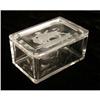 Image 5 : A METAL MOUNTED COLORLESS GLASS COVERED BOX