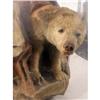 Image 3 : A TAXIDERMY POLAR BEAR