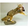 Image 1 : A TAXIDERMY MOUNT