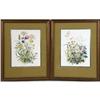 Image 1 : TWO FRAMED POLYCHROME FLORAL PRINTS