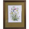 Image 4 : TWO FRAMED POLYCHROME FLORAL PRINTS