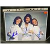 Image 1 : THE BEE GEES SIGNED PHOTO WITH COA AUTOGRAPHS INCLUDE:  BARRY GIBB, ROBIN GIBB, MAURICE GIBB