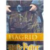 Image 2 : ROBBIE COLTRANE SIGNED HARRY POTTER PHOTO WITH COA