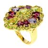 Image 2 : Natural Peridot, Chrome Diopside, Garnet Ring