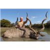 Image 3 : South Africa Licroma Safaris 1- day hunt for 2 Hunters with Trophy Fees Included