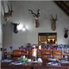 Image 3 : South Africa Ubathi Global Safaris is offerring 10 day hunt for 1 Hunter and 1 Non Hunter
