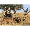 Image 2 : Argentina Red Stag 5 day 1 Hunter