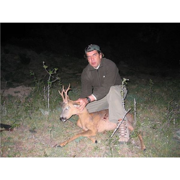 Spain 4 day Roe Deer Hunt for 1 hunter and 1 non-hunter
