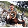 Image 3 : Spain Iberian Hunting Experience  4-day hunt and tour for 1 hunter & 1 non-hunter, choice of animals