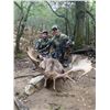 Image 5 : Spain Iberian Hunting Experience  4-day hunt and tour for 1 hunter & 1 non-hunter, choice of animals