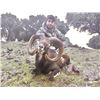 Image 7 : Spain Iberian Hunting Experience  4-day hunt and tour for 1 hunter & 1 non-hunter, choice of animals