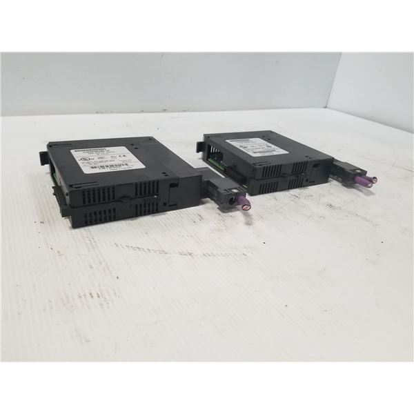 (2) GE FANUC IC693PBM200-DE I/O MODULES