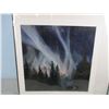 Image 2 : Northern Lights Picture by Leonard Carlyle Skinner (25" x 25.5") Plus Picture by Will Rafuse in..