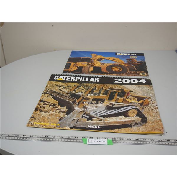 (2X THE MONEY) 2004 Cat Calendars (Good Condition)