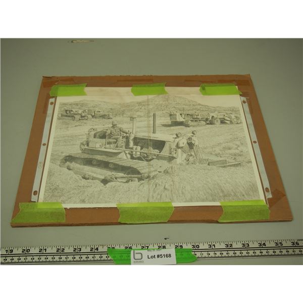 Cat D7 Pencil Drawing By Don Greytak Print 133 of 500