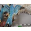 Image 4 : Japan Bird Ornament And Seashell
