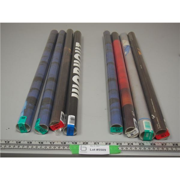 (2X THE MONEY) Total 8 NOS Posters Disney Gang, Workout, Baywatch, Etc