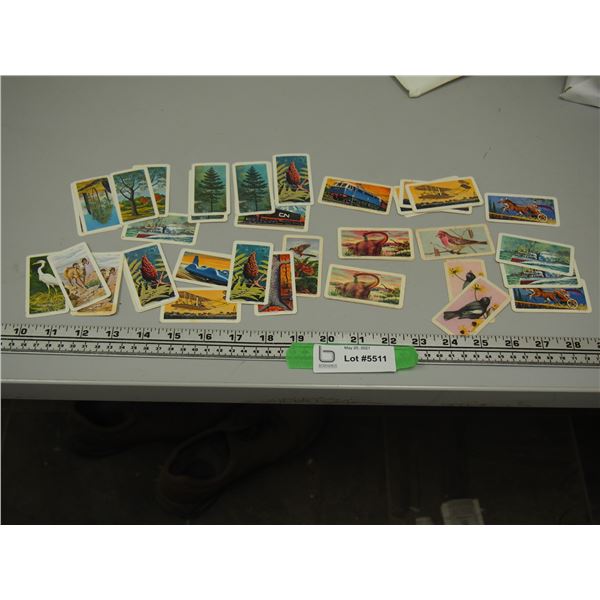 Red Rose Tea Cards, N.A. Wildlife, Trees of N.A, Transportation Through the Ages, Dinosaurs, Songbir