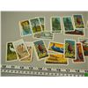 Image 2 : Red Rose Tea Cards, N.A. Wildlife, Trees of N.A, Transportation Through the Ages, Dinosaurs, Songbir