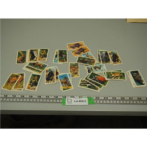 Red Rose Tea Cards African Animals