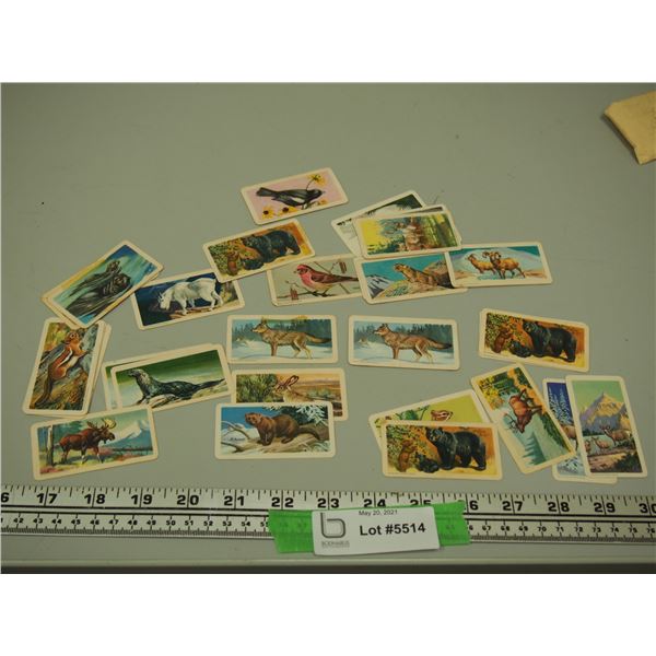 Red Rose Tea Cards Animals of North America