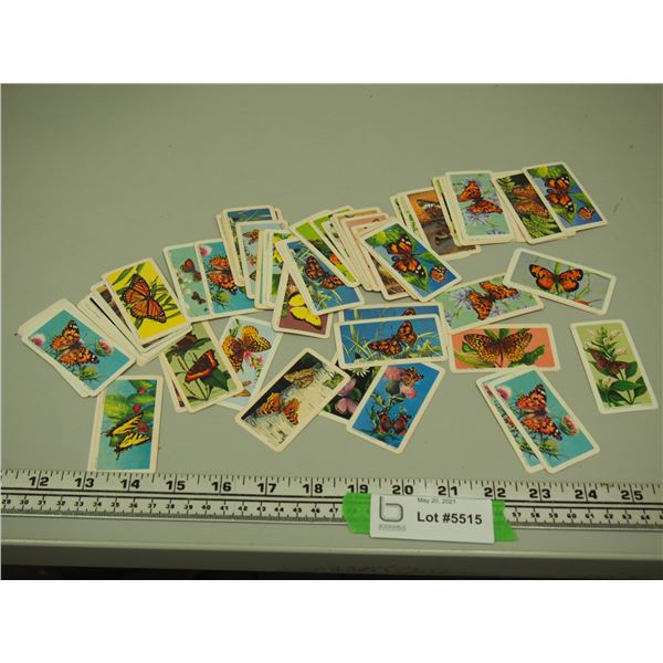 Red Rose Tea Cards Butterflies of North America