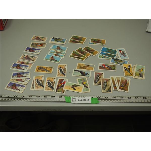 Red Rose Tea Cards Canadian American Songbird